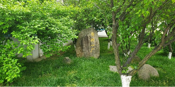蝌蚪窉成人精品视频塑业再次被客户评定为“A级供应商”
