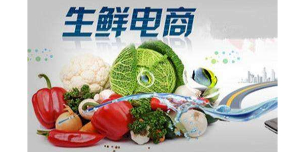 疫情促使移动互联网流量暴增，生鲜电商出现第二春（6）