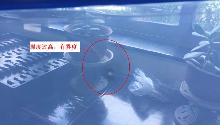 注塑制品质量缺陷分析（六）造成制品表面有雾度的主要原因是什么？